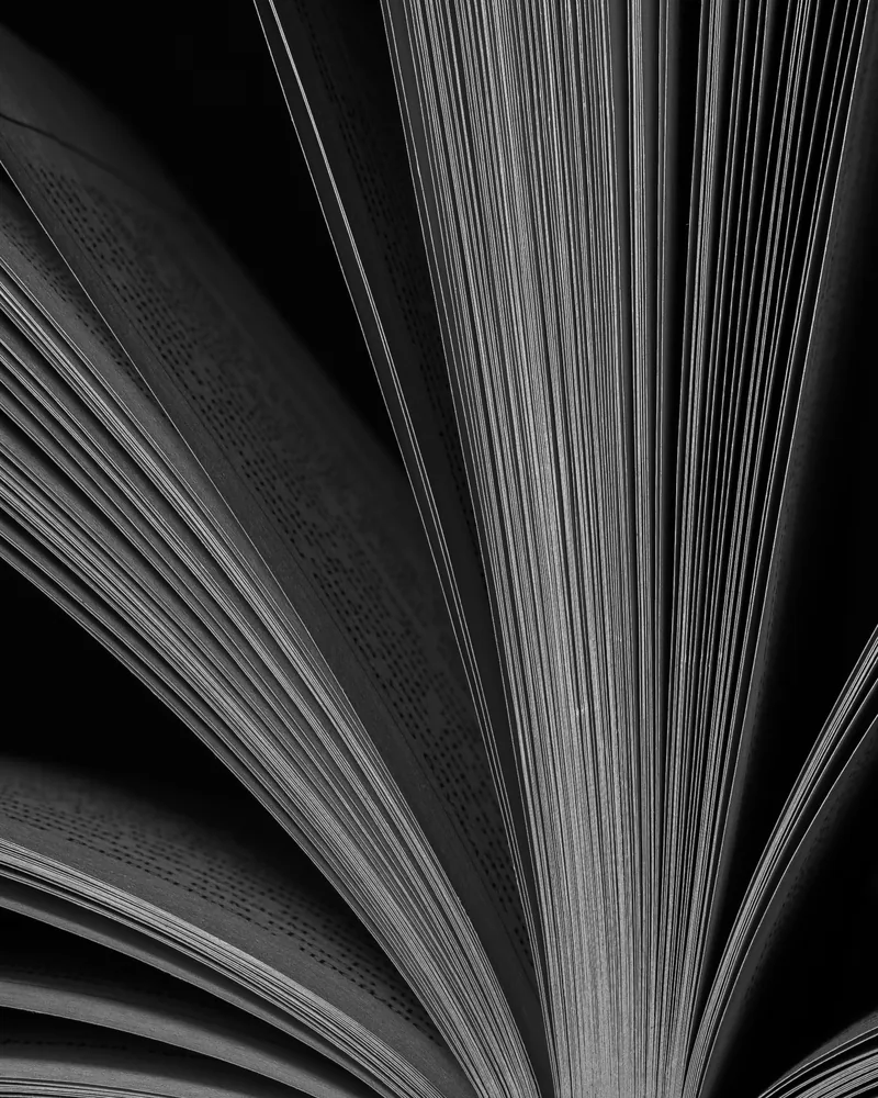 Las páginas de un libro abierto, en blanco y negro